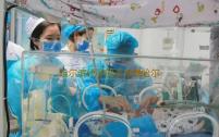 哈尔滨代孕的手术费哈尔滨哪家医院做试管婴儿好‘四维彩超如何看是女儿还是儿子图片’